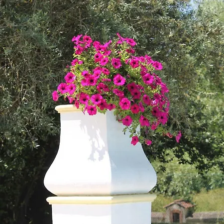 Quinta Do Outeiro Holiday home *